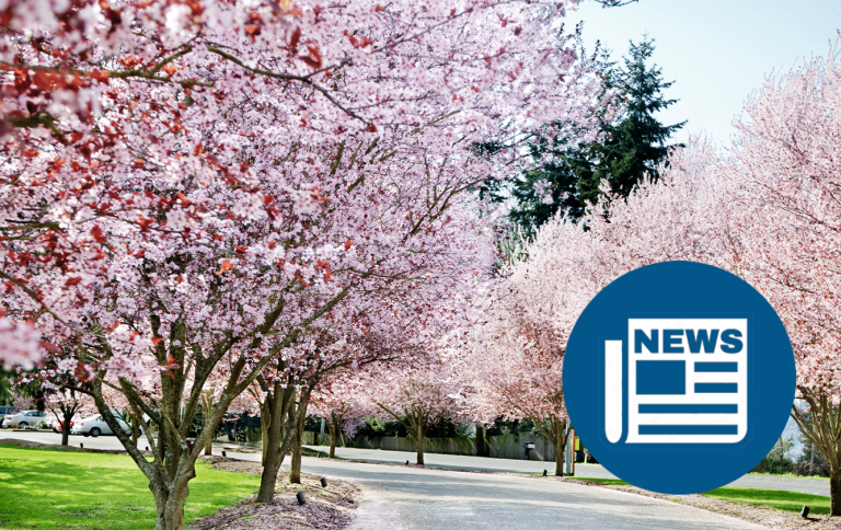 Rothkoff Quarterly: Spring 2025