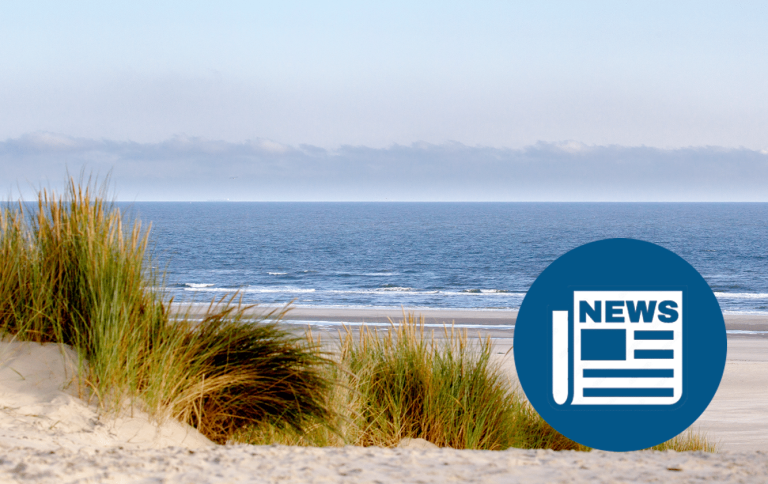 Rothkoff Quarterly: Summer 2020