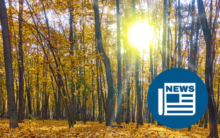 Rothkoff Quarterly: Fall 2024